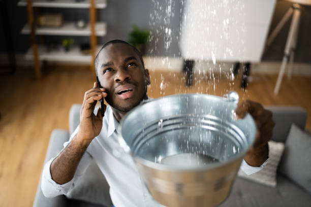 Best 24-hour water damage restoration  in Tatamy, PA