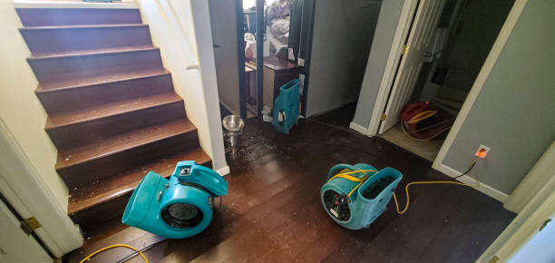 Best 24/7 water damage repair  in Tatamy, PA