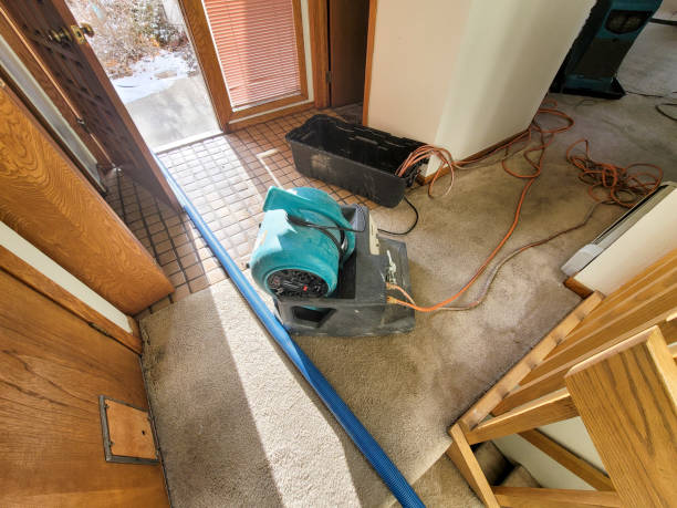 Best Fire Damage Restoration  in Tatamy, PA