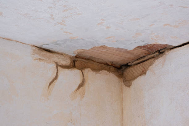 Best Basement water damage restoration  in Tatamy, PA