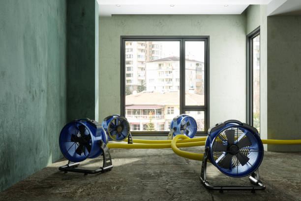 Best Residential water damage restoration  in Tatamy, PA