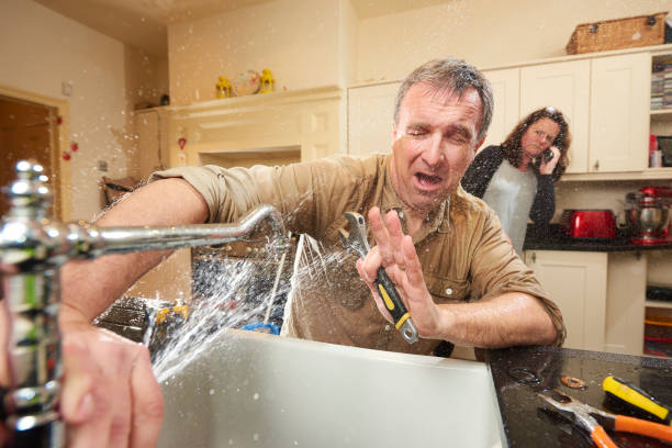 Best Water damage restoration mold remediation  in Tatamy, PA